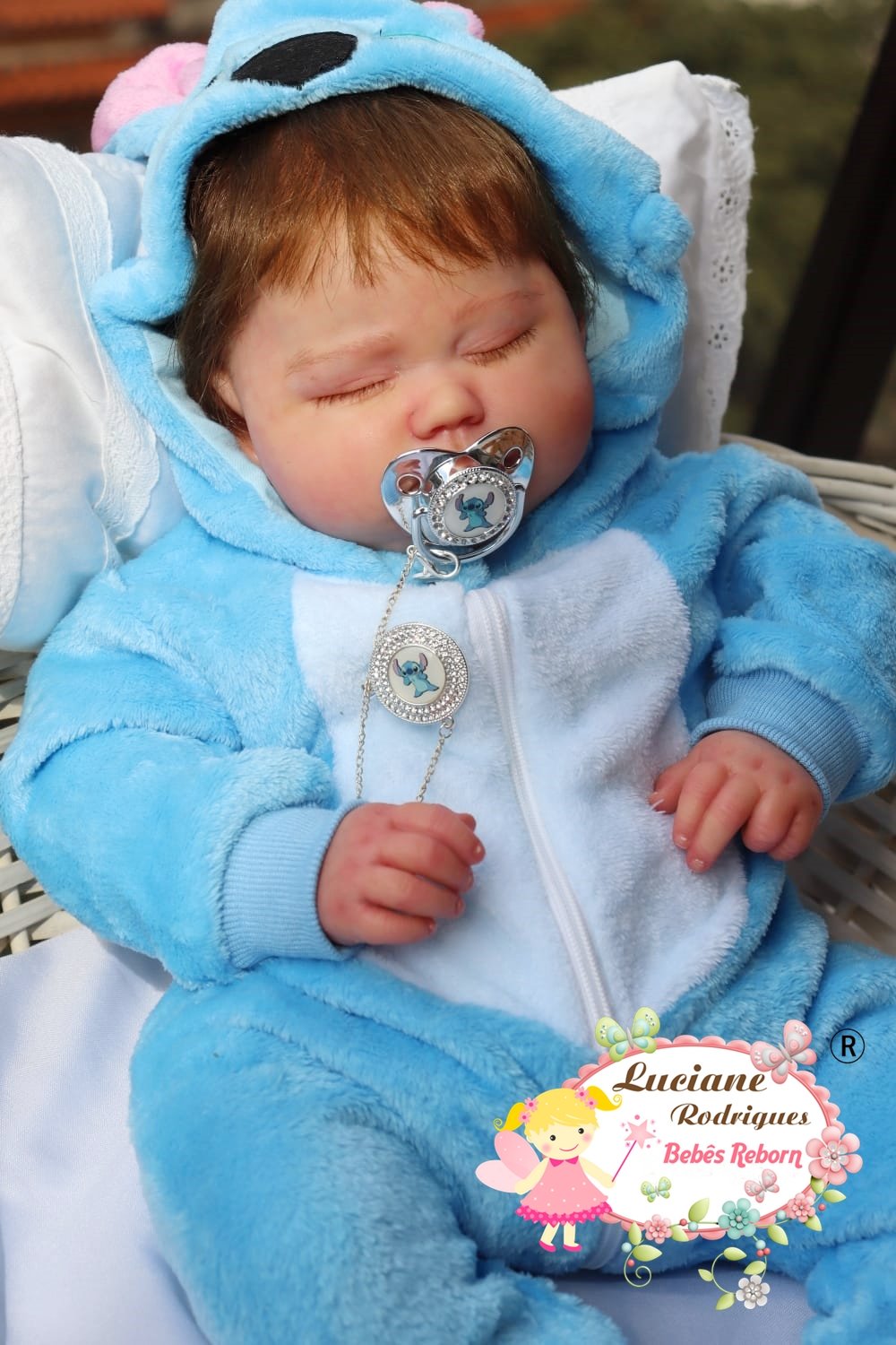 Bernardo - foto 2