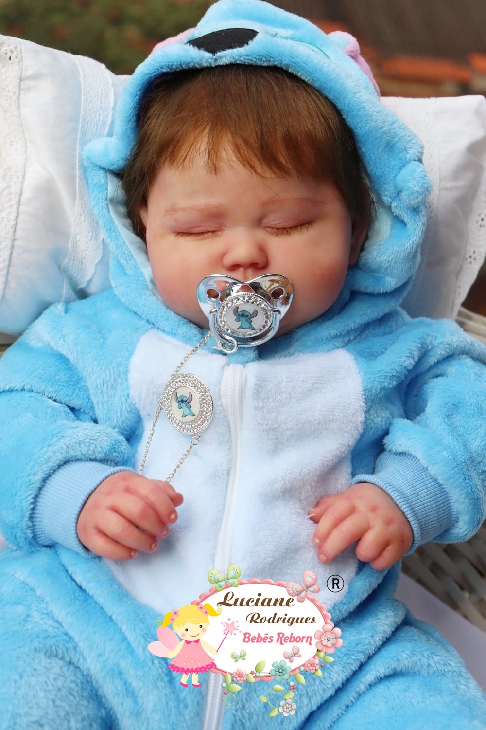 Bernardo - foto 3