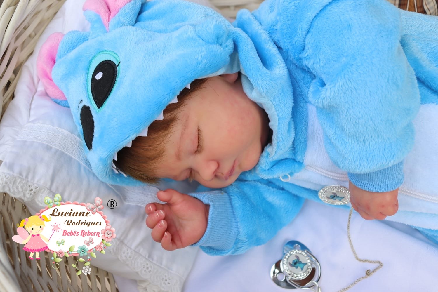 Bernardo - foto 4