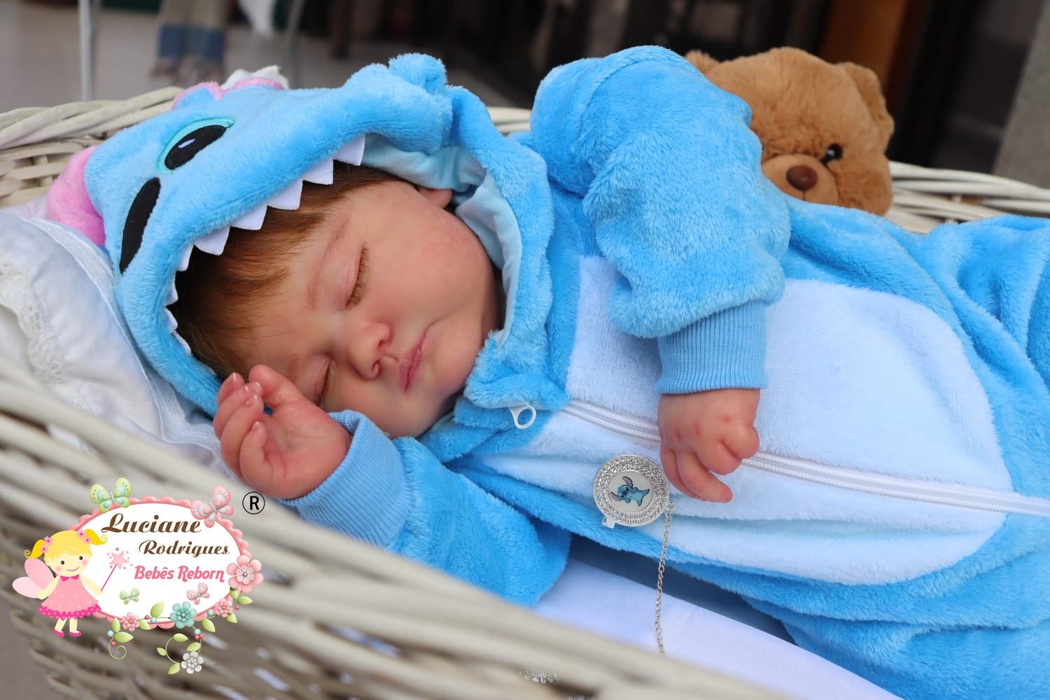 Bernardo - foto 5
