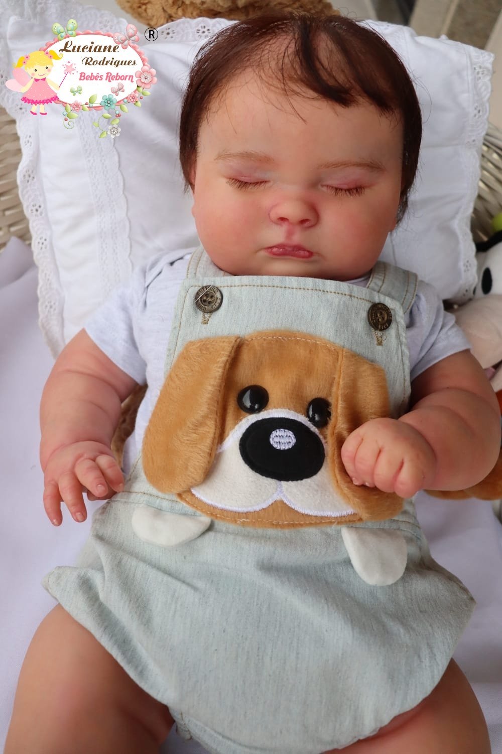 Vicente - foto 2