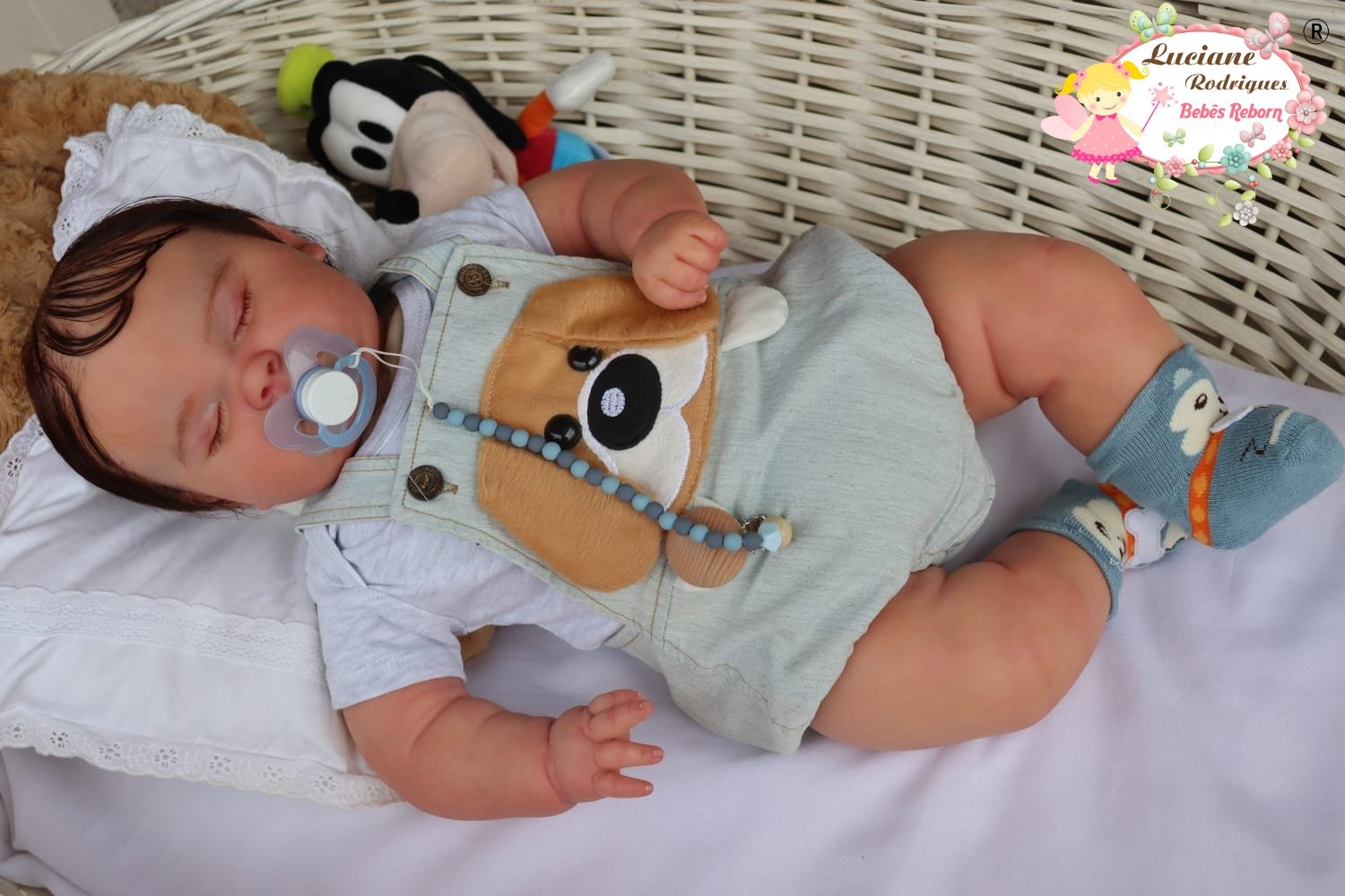 Vicente - foto 6